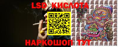 молекула духа Камышлов