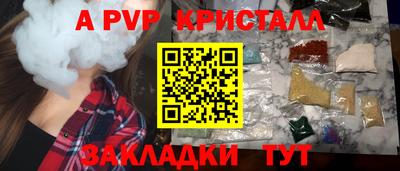 молекула духа Камышлов