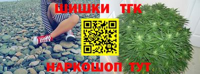 молекула духа Камышлов