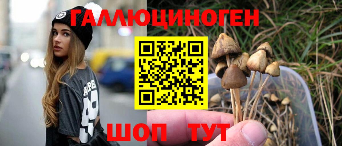 Курчатов  Галлюциногенные грибы GOLDEN TEACHER  Вход с VPN 